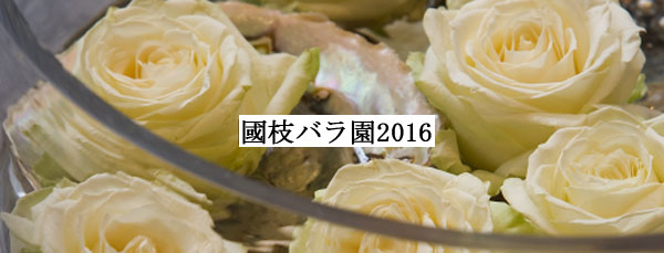 2009